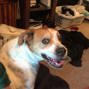 Meet your Posher, Taryn